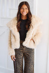 HAZEL & OLIVE Chinchilly Faux Fur Jacket - Khaki